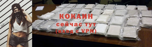 твердый Абаза