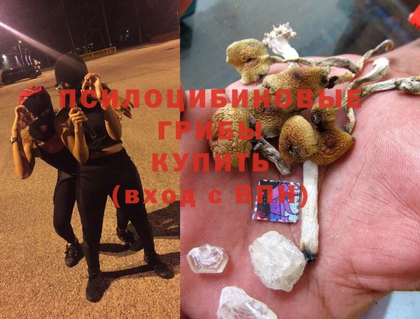 гашиш Абинск