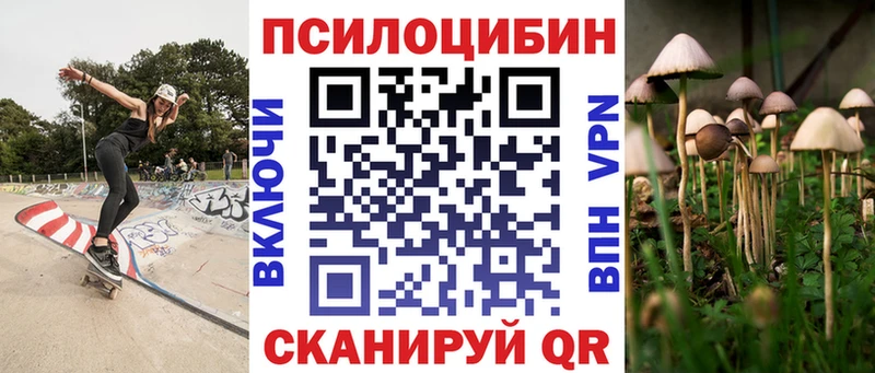 площадка какой сайт  как найти закладки  Мамадыш  Псилоцибиновые грибы Cubensis 